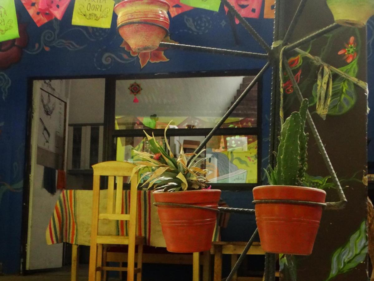 Hostel Pacha Qori Backpackers Cajamarca Zewnętrze zdjęcie